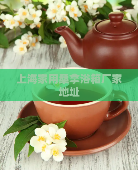 上海家用桑拿浴箱厂家地址  第1张