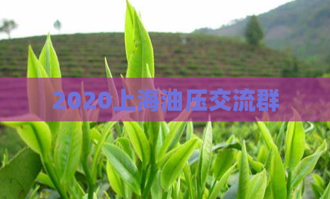 2020上海油压交流群  第1张