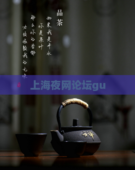 上海夜网论坛gu  第1张