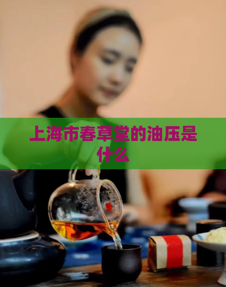 上海市春草堂的油压是什么  第1张