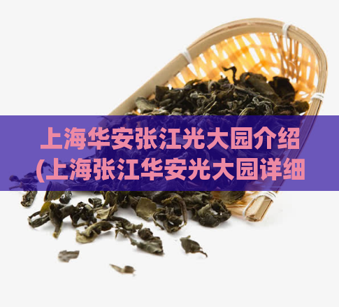 上海华安张江光大园介绍(上海张江华安光大园详细介绍)  第1张