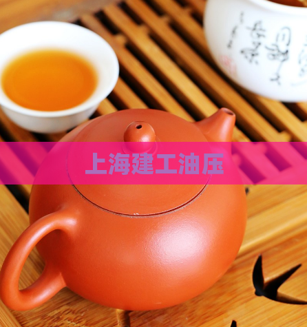 上海建工油压  第1张