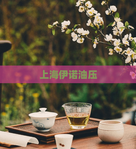 上海伊诺油压  第1张