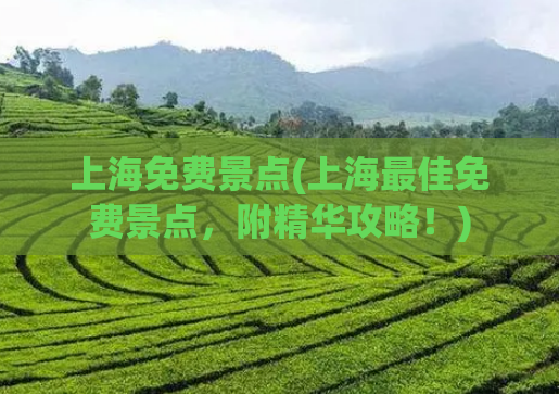 上海免费景点(上海最佳免费景点，附精华攻略！)  第1张