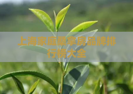 上海家庭桑拿房品牌排行榜大全  第1张