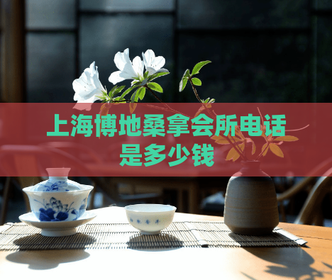 上海博地桑拿会所电话是多少钱  第1张