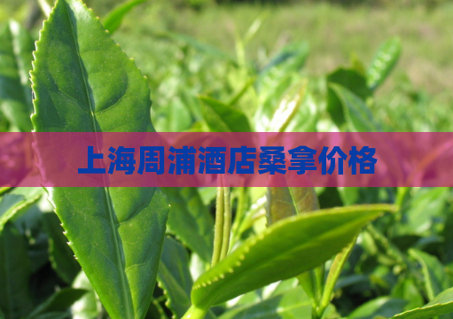 上海周浦酒店桑拿价格  第1张