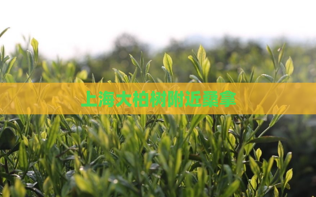 上海大柏树附近桑拿  第1张