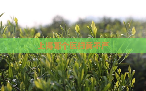 上海哪个区扫黄不严  第1张