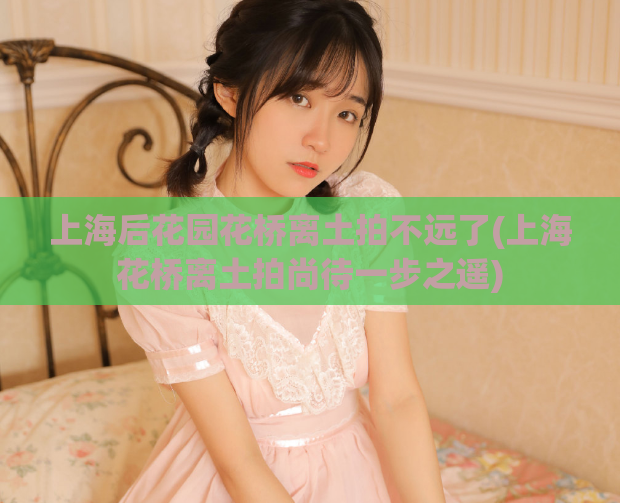 上海后花园花桥离土拍不远了(上海花桥离土拍尚待一步之遥)  第1张