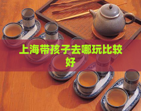 上海带孩子去哪玩比较好  第1张