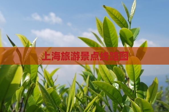 上海旅游景点线路图  第1张