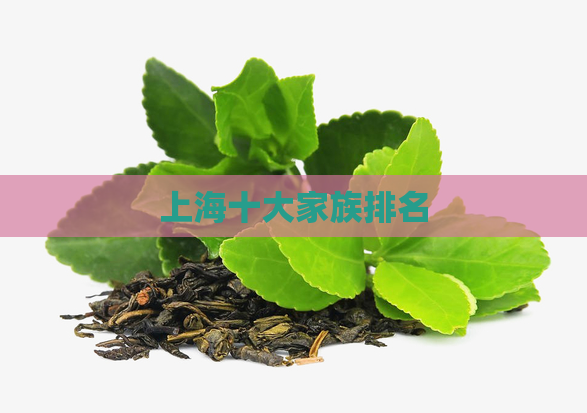 上海十大家族排名  第1张