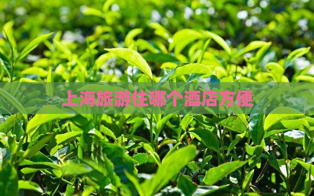 上海旅游住哪个酒店方便  第1张