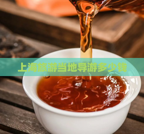 上海旅游当地导游多少钱  第1张