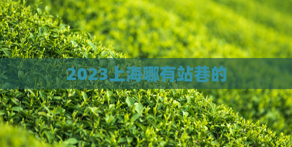 2023上海哪有站巷的  第1张