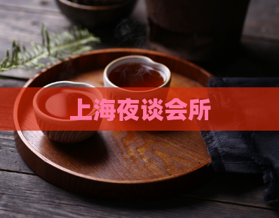 上海夜谈会所  第1张