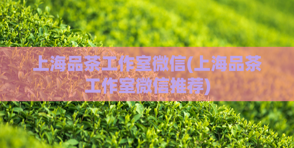 上海品茶工作室微信(上海品茶工作室微信推荐)  第1张