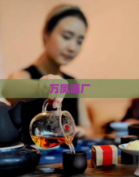 万凤酒厂  第1张