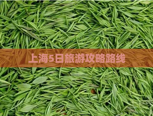 上海5日旅游攻略路线  第1张