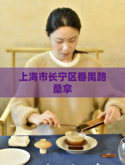 上海市长宁区番禺路桑拿  第1张