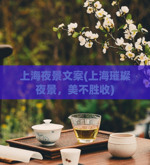 上海夜景文案(上海璀璨夜景，美不胜收)  第1张