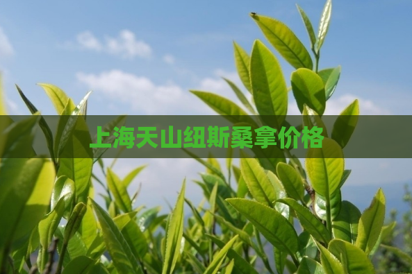 上海天山纽斯桑拿价格  第1张