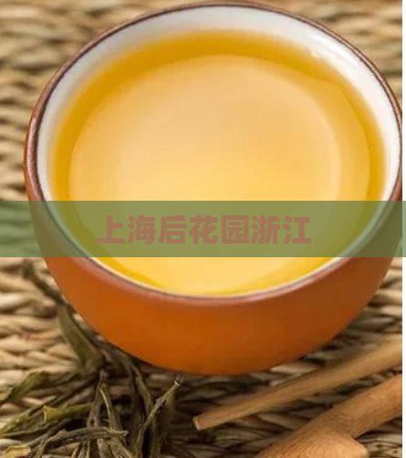 上海后花园浙江  第1张