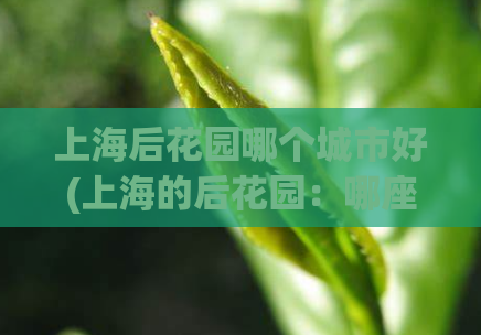 上海后花园哪个城市好(上海的后花园：哪座城市最美？)  第1张