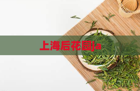 上海后花园ja  第1张