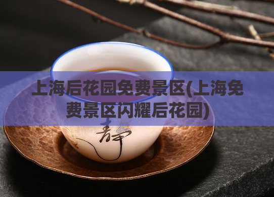 上海后花园免费景区(上海免费景区闪耀后花园)  第1张