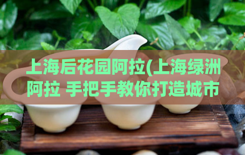 上海后花园阿拉(上海绿洲阿拉 手把手教你打造城市绿色后花园)  第1张